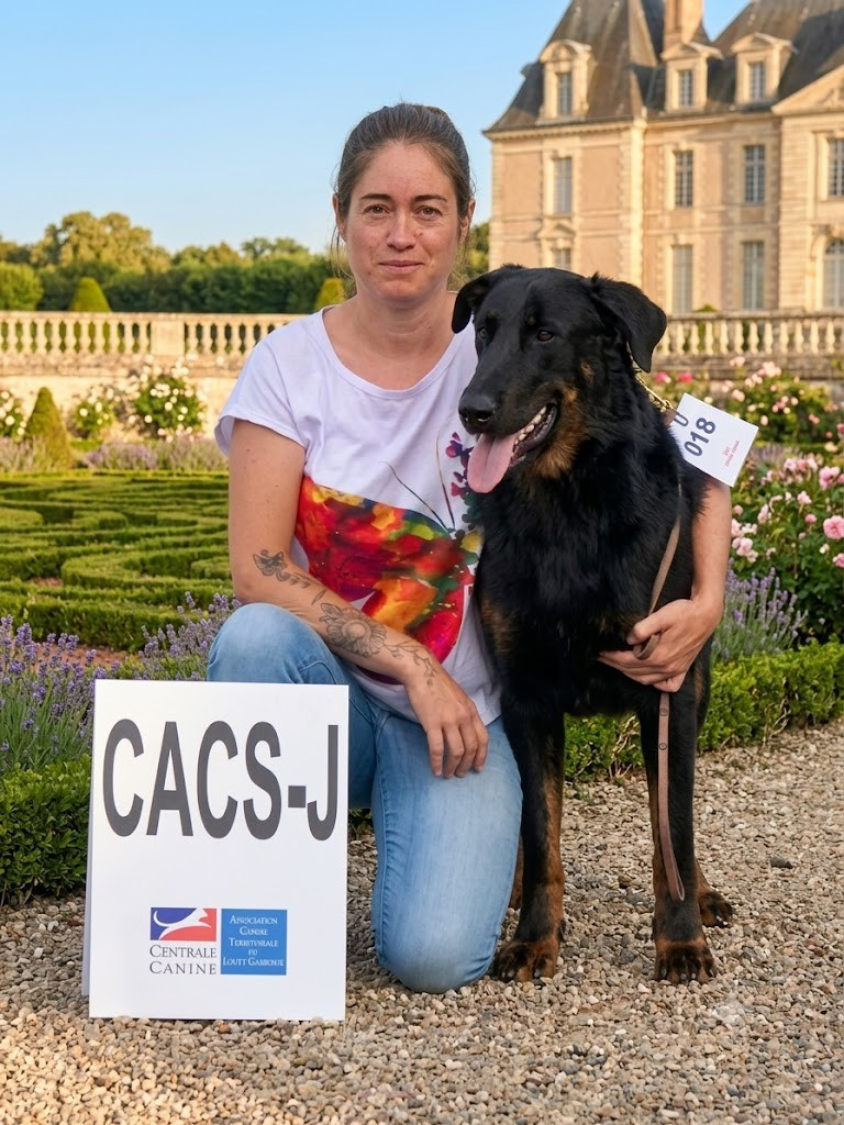 Argus Du Clos Des Loutres