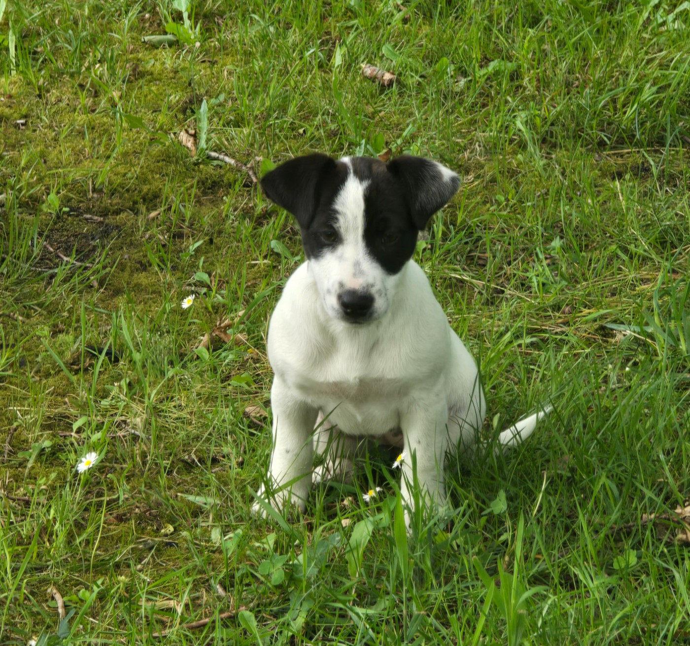 Briska Du Clos Des Loutres