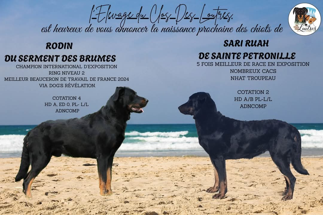 Sari va être maman ❤ 